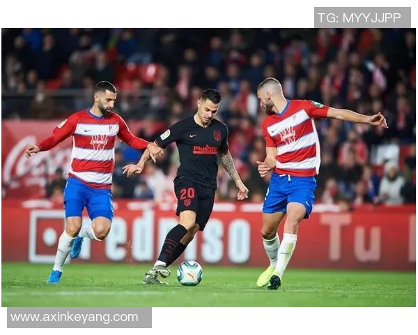 西甲低级别联赛怎么:了解西甲低级别联赛的结构与参赛规则